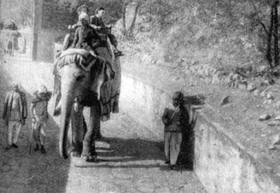 Подъем на слонах во дворец Амбер. Справа от переднего слон сопровождающий процессию музыкант