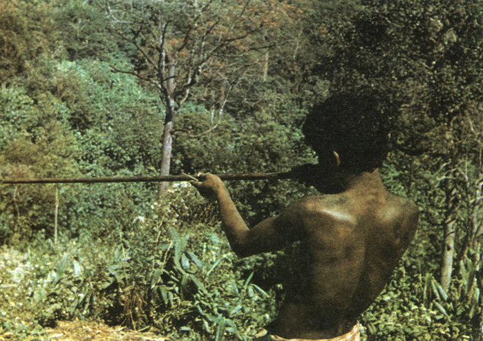 Племя до сих пор пользуется древним оружием - духовым 'ружьем'